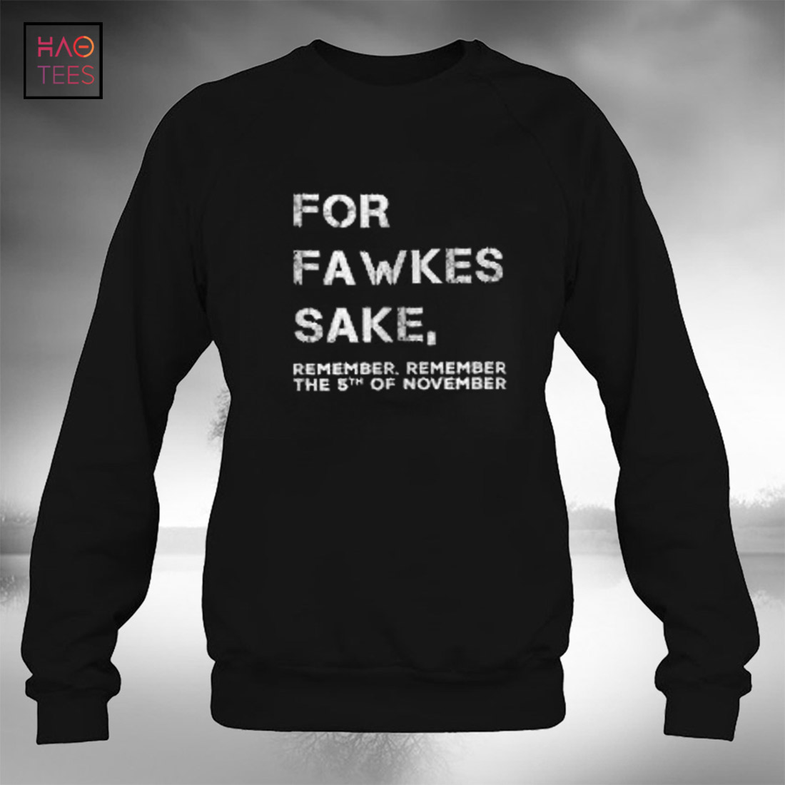 For Fawkes Sake Remember The 5 Of November T-Shirt