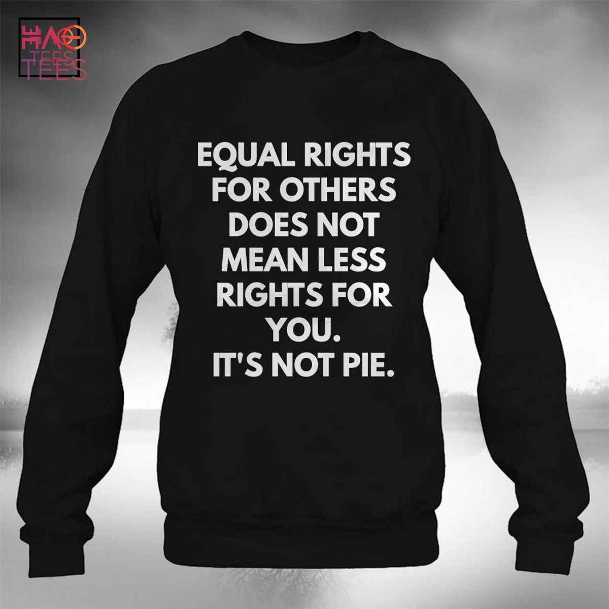 Equal Rights For Others Does Not Mean Less Rights For You T-Shirt