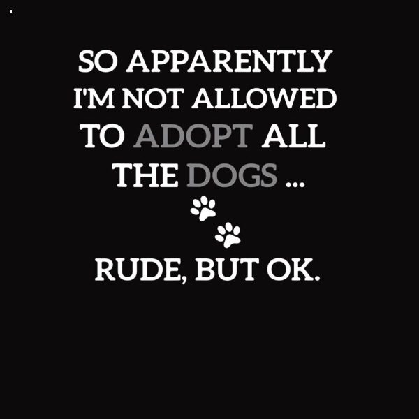So Apparently I’m Not Allowed To Adopt All The Dogs Funny Shirt