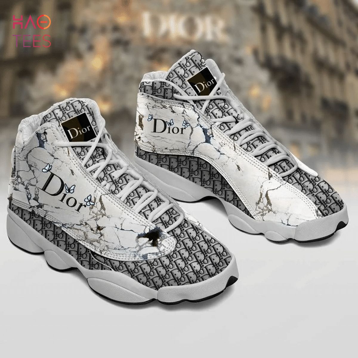 dior jordan 13