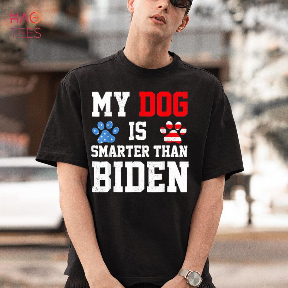 My Dog Is Smarter Than Your President Biden Funny Anti Biden