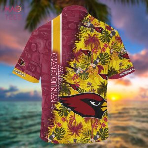 Arizona Cardinals NFL NFL Football Personalized Aloha Hawaiian Shirt For  Men Women