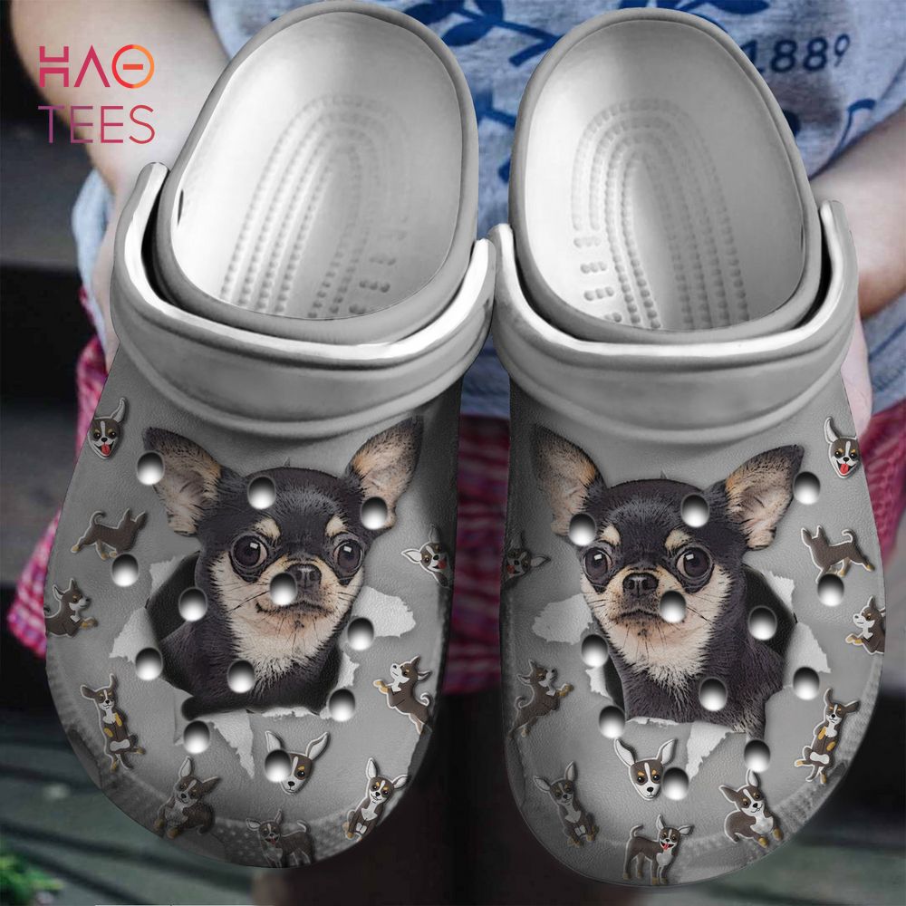 Chihuahua Hole Clogs Shoes