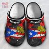 Coqui Puerto Rico Flag Puerto Rican Gift Personalized Clogs Shoes