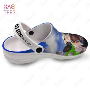 Crazy Cow Lady Clogs Shoes, Gift for Cow Lovers