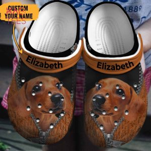Dachshund Brown Zipper Clogs Shoes, Dachshund Gift