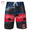 Miami Dolphins NFL Mens Americana Boardshorts