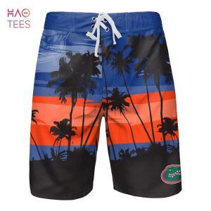 Florida Gators NCAA Mens Sunset Boardshorts