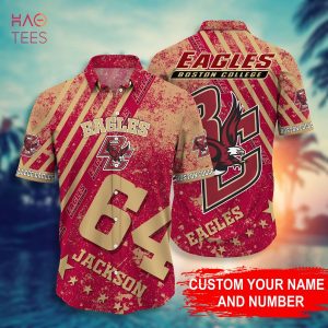 Custom Boston College Eagles Jersey Name and Number Football Style 2