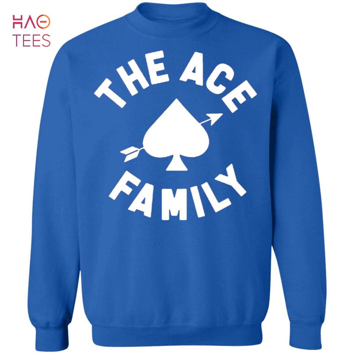 Ace family 2025 blue hoodie