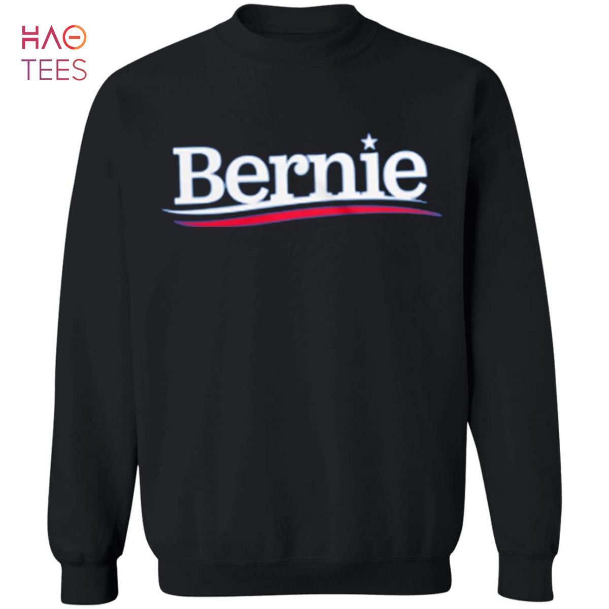 BEST Bernie Sanders Sweater