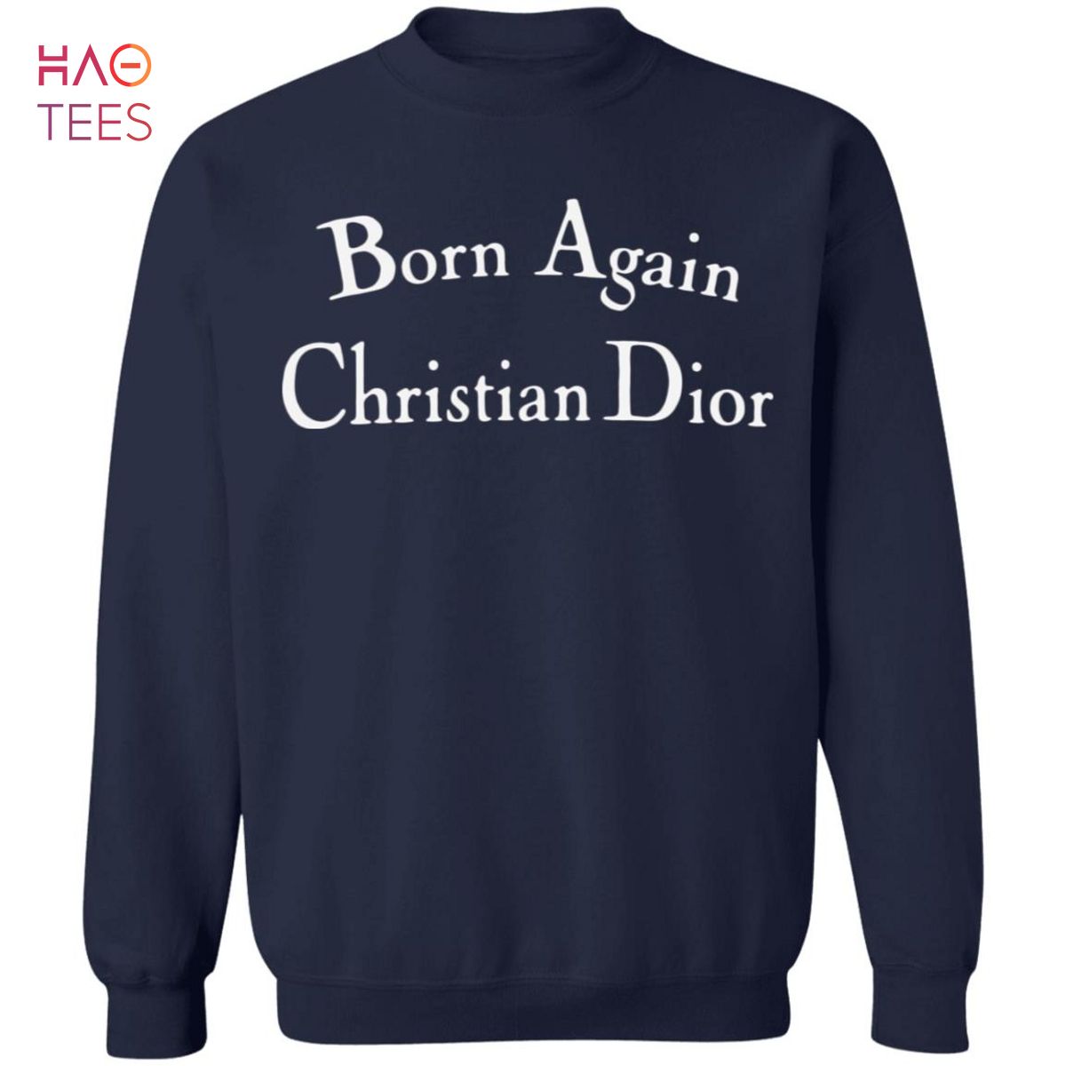 repertoire voorkomen Uitbreiding HOT Born Again Christian Dior Sweater Dark