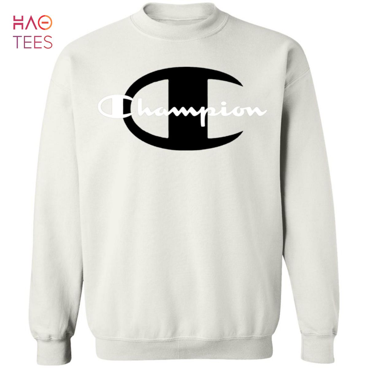 HOT Champion Sweater