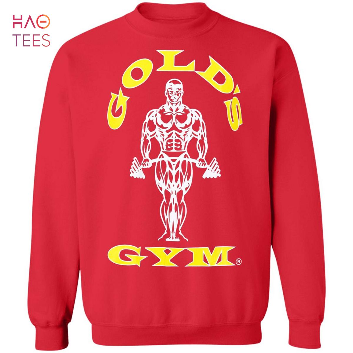 [NEW] Golds Gym Sweater