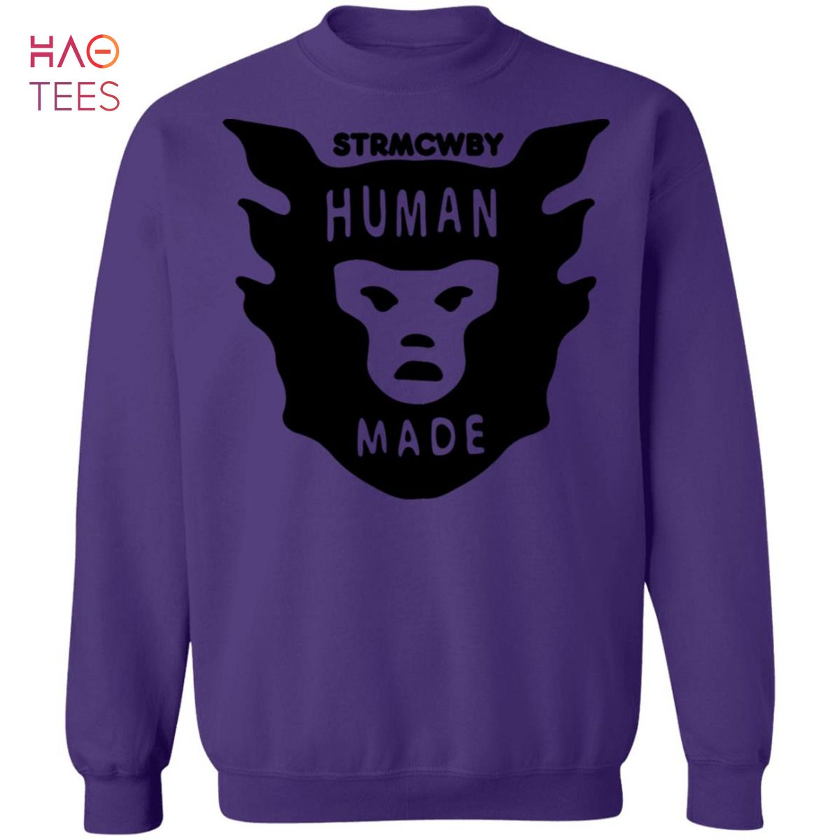 HUMAN MADE / STRMCWBY Pullover Hoodieトップス - パーカー