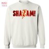 BEST Shawn Mendes Sweater