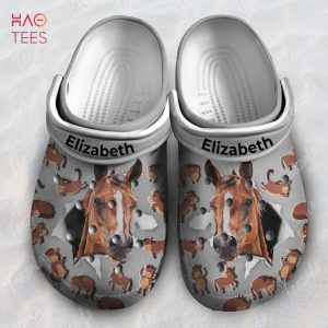Horse Hole Personalized Clogs Shoes