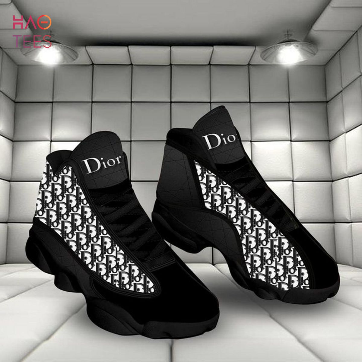 Dior Air Jordan 13 High Top Shoes