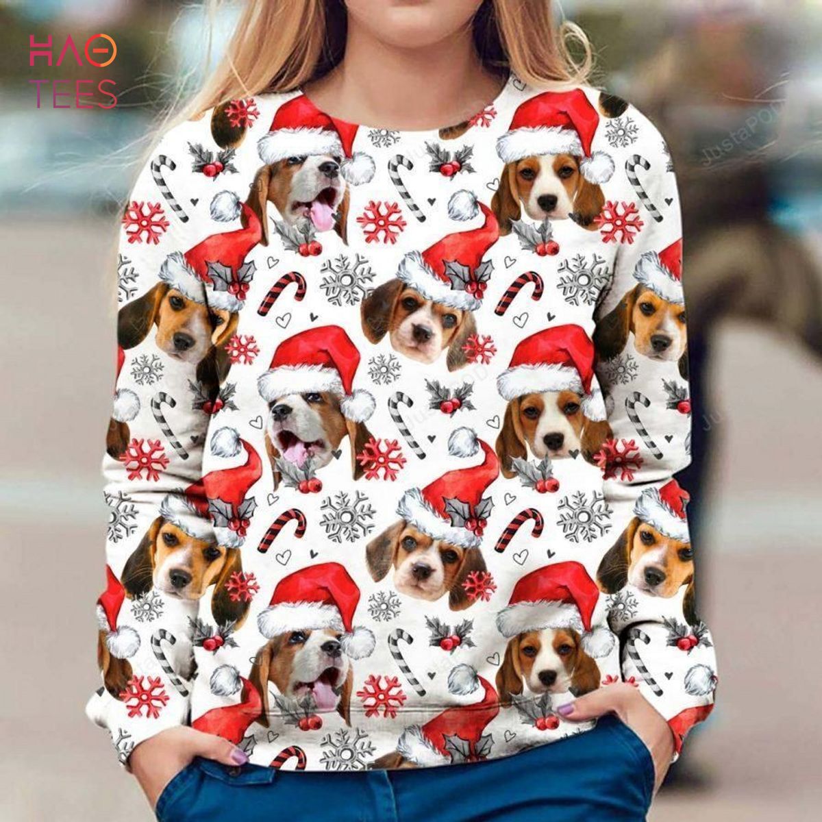 BEST Beagle Dog Ugly Sweater Ugly Sweater Christmas Sweaters Hoodie Sweater