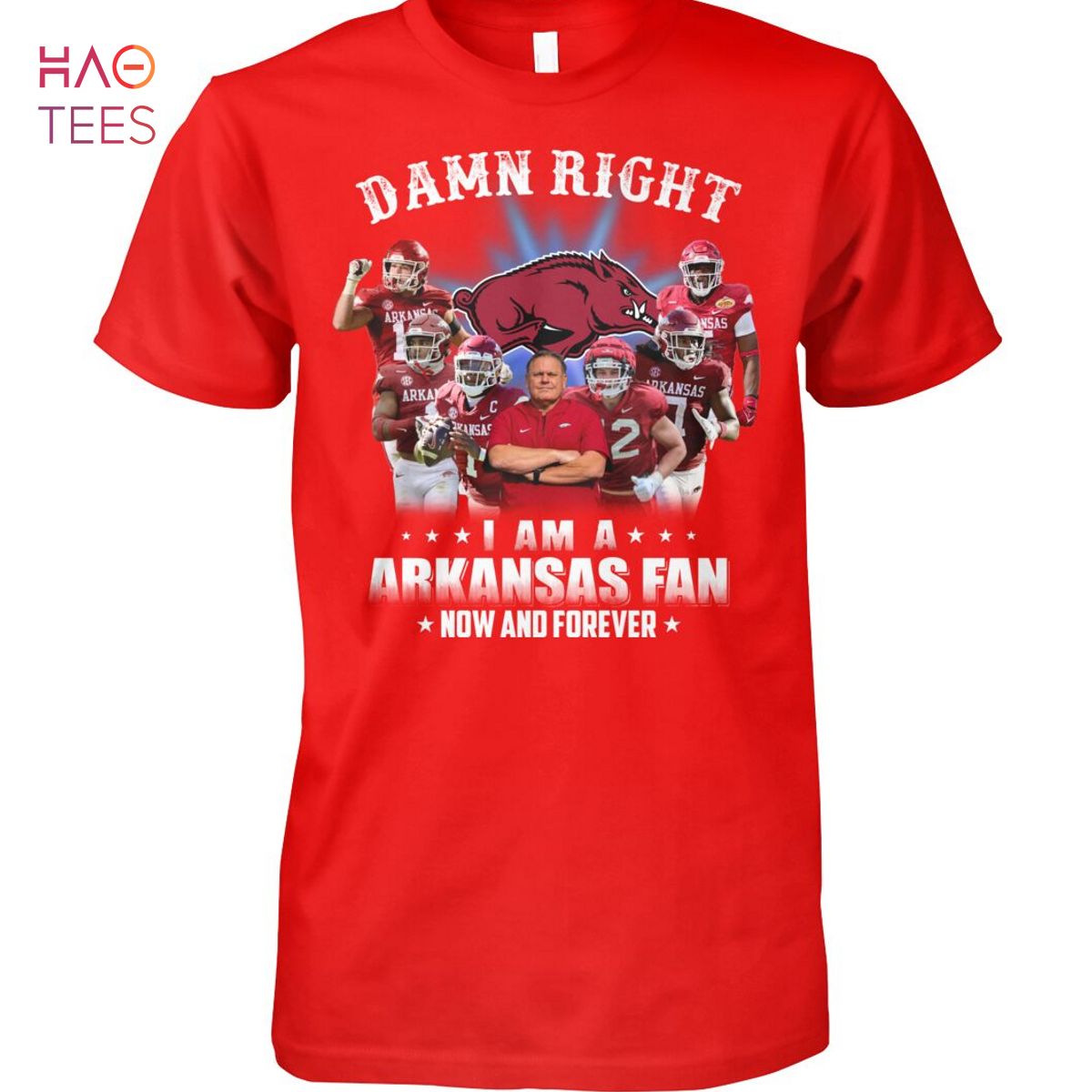 Damn Right I Am A Arkansas Fan Shirt