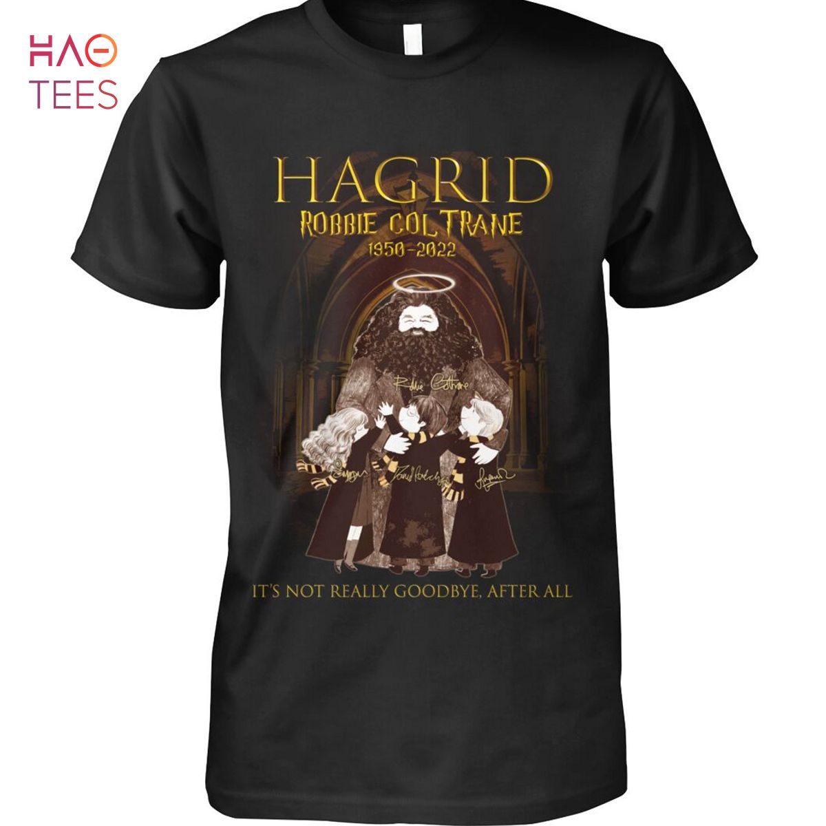 Hagrid Robbie Col Trane 1950-2022 It ‘s Not Really Goobye After All Shirt