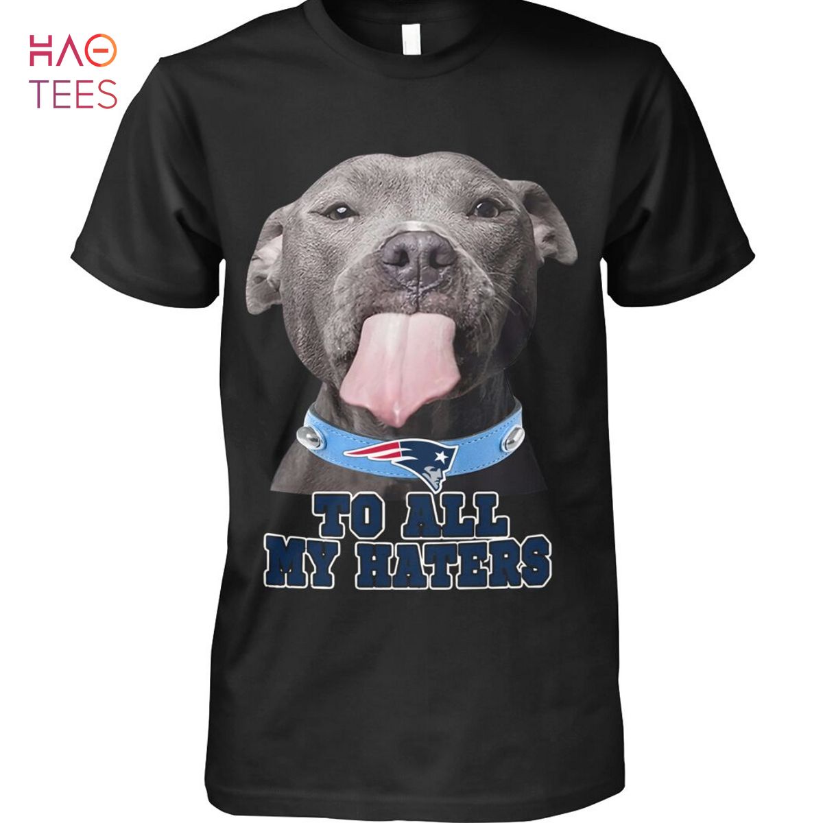 Pitbull Golden State Warriors To All My Hates Shirt