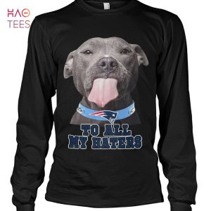 Pitbull Golden State Warriors To All My Hates Shirt