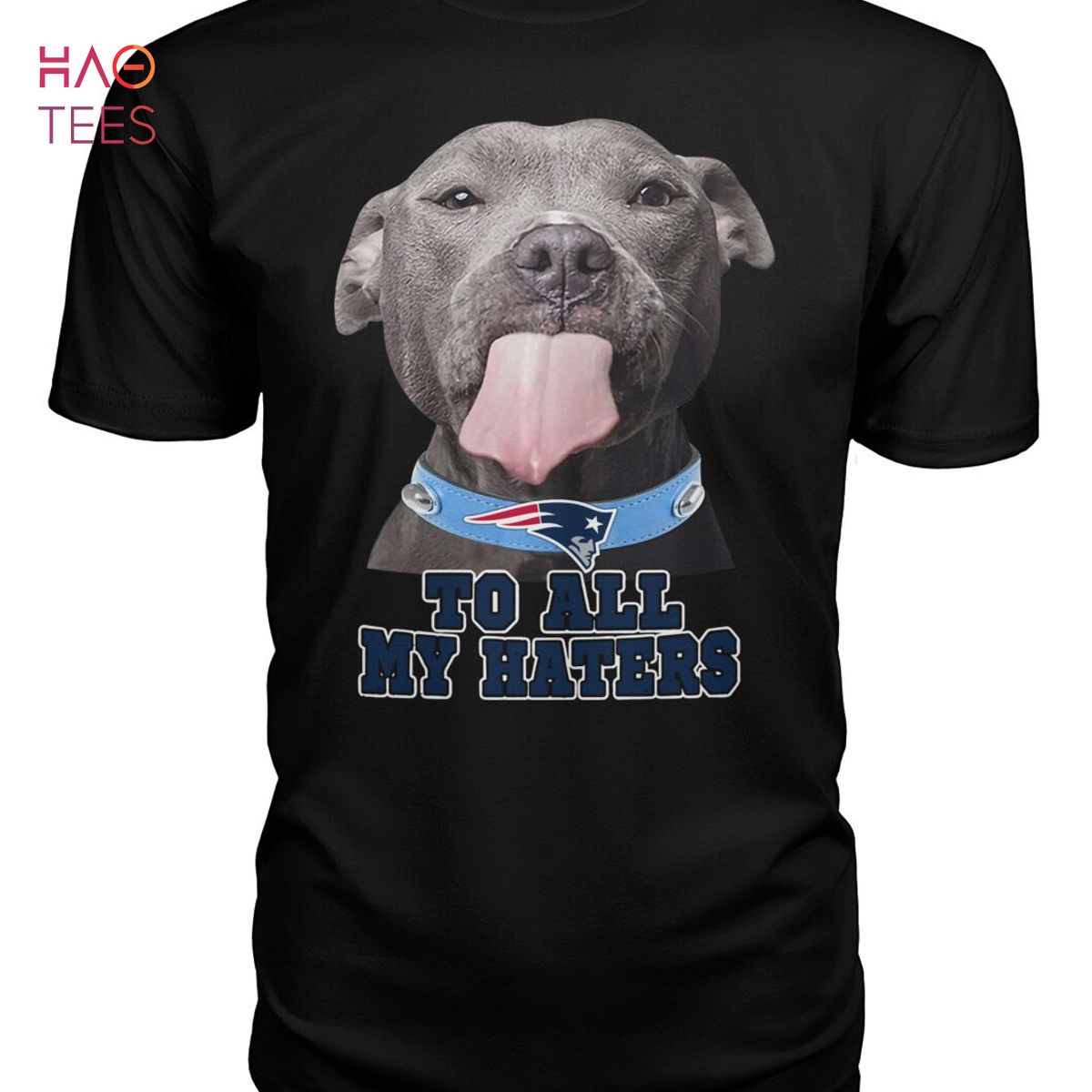Pitbull Golden State Warriors To All my Haters Dog Shirt,Sweater