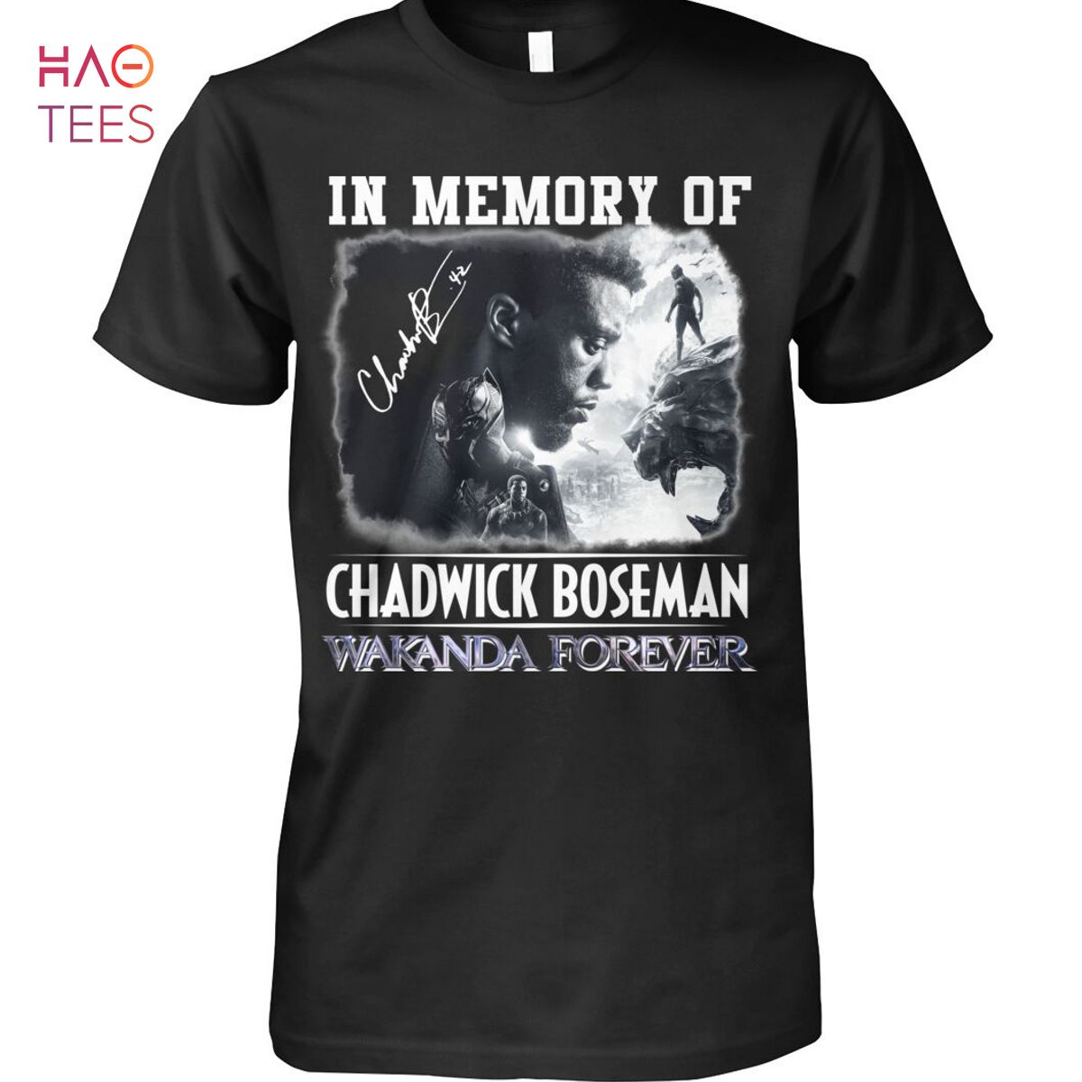 In Memory Of Chadwick Boseman Wakanda Forever T Shirt