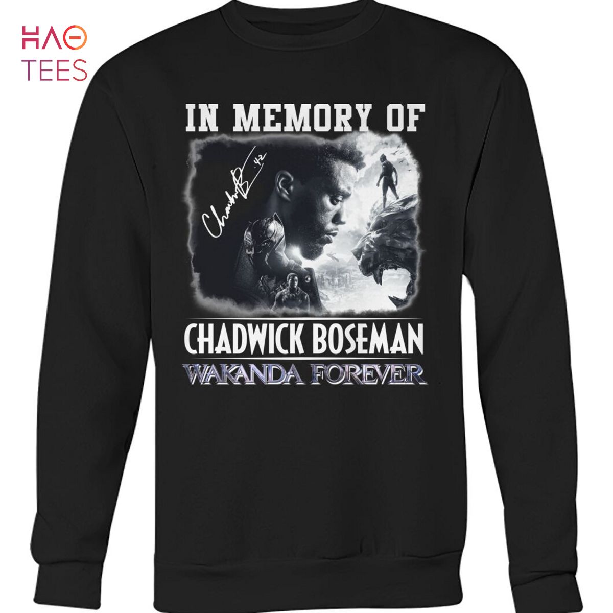 In Memory Of Chadwick Boseman Wakanda Forever T Shirt In Memory Of Chadwick Boseman Wakanda Forever T Shirt