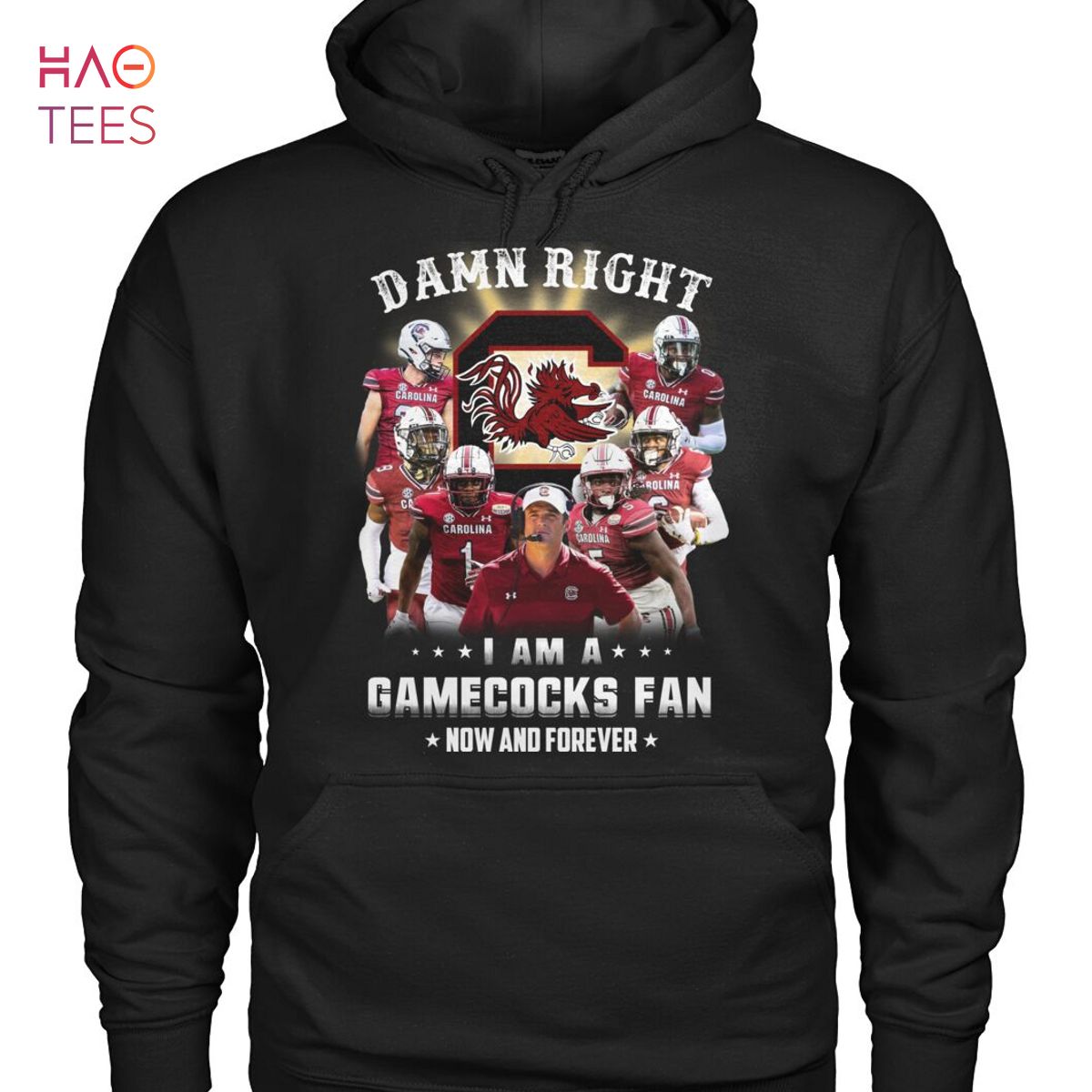 Damn Right I Am A Gamecocks Fan T Shirt