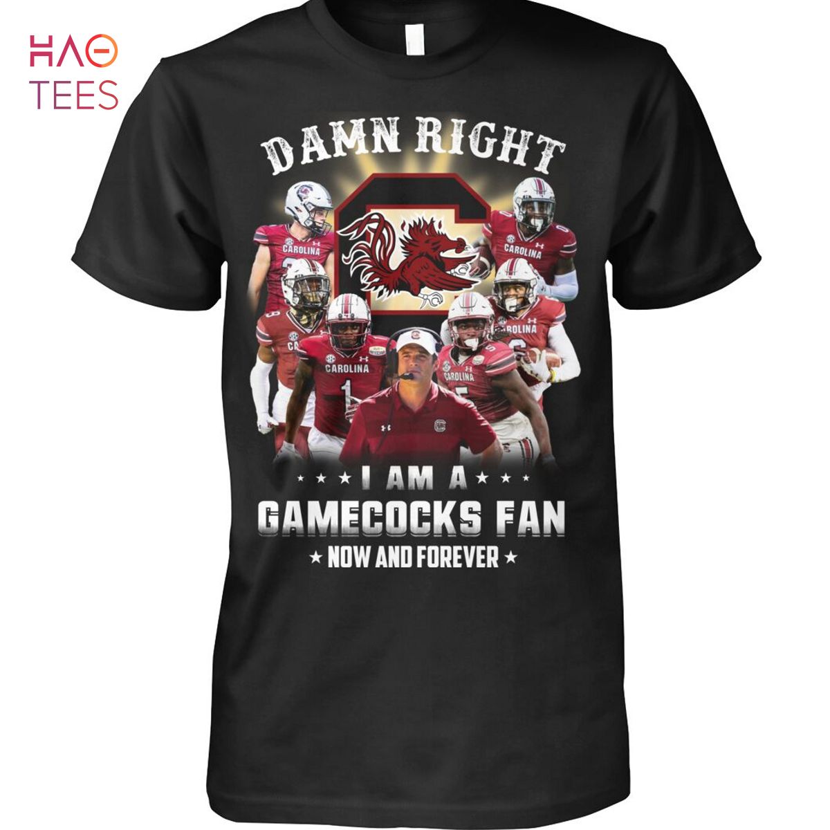 Gamecocks Fan Now And Forever T Shirt Unisex T Shirt