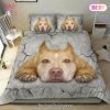 Buy Philadelphia Eagles Logo Bedding Sets 02 Bed Sets, Bedroom Sets, Comforter Sets, Duvet Cover, Bedspread