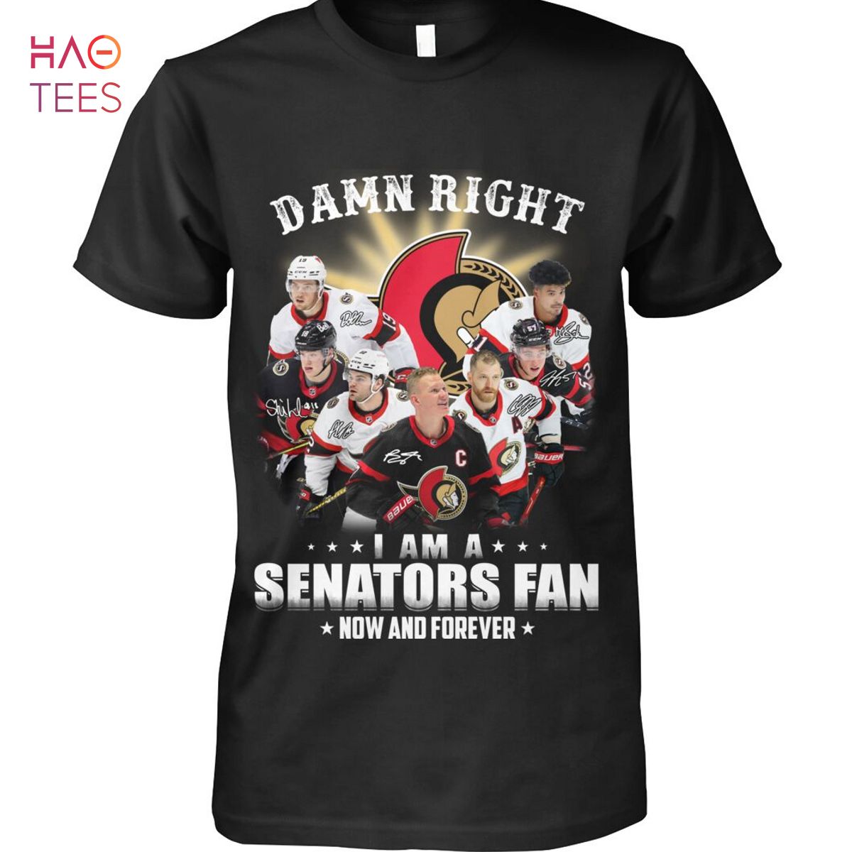 Ottawa Senators Ice Hockey Team Fan Now And Forever Shirt