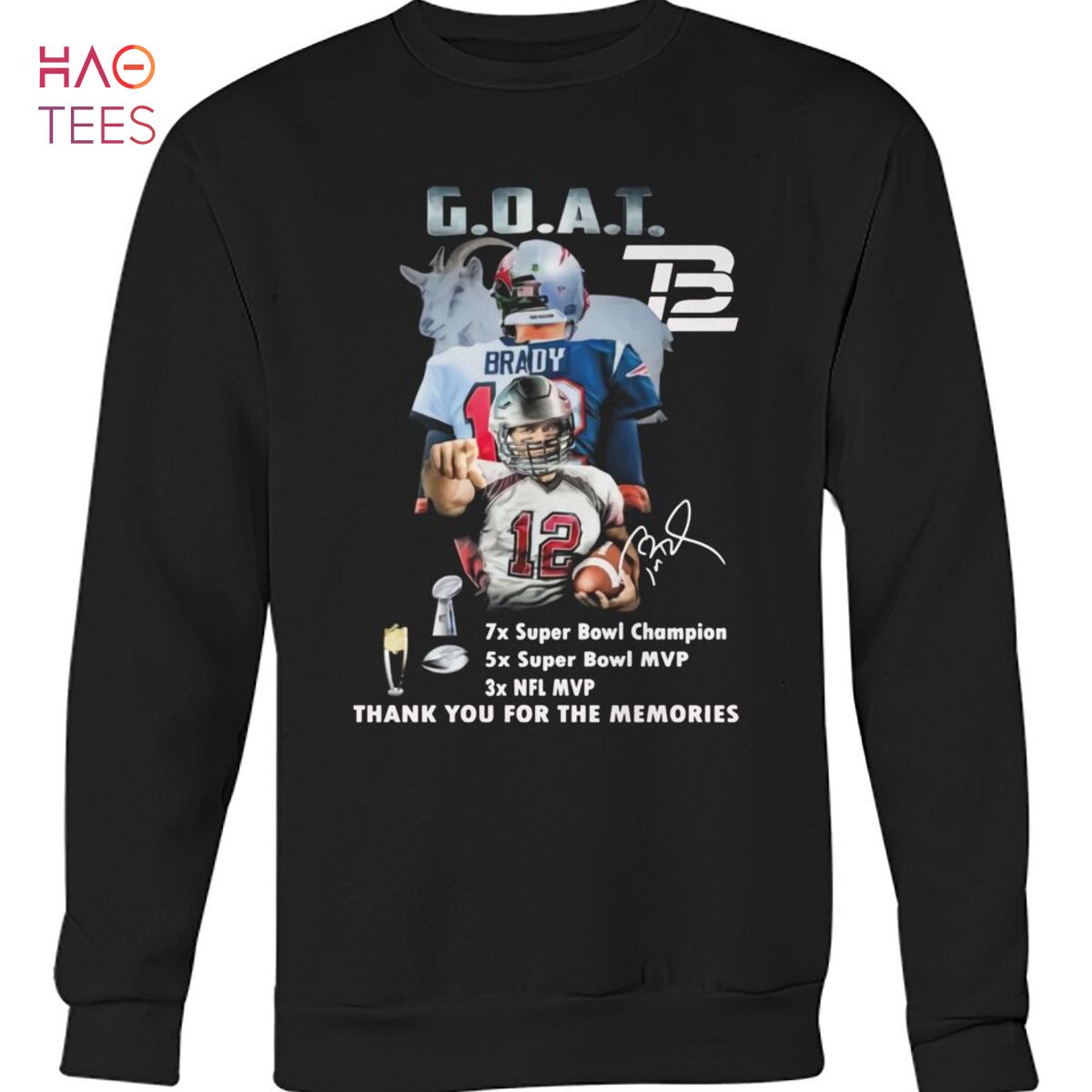 Tom Brady THE GOAT Hoodie Vintage NFL Super Bowl Edition 