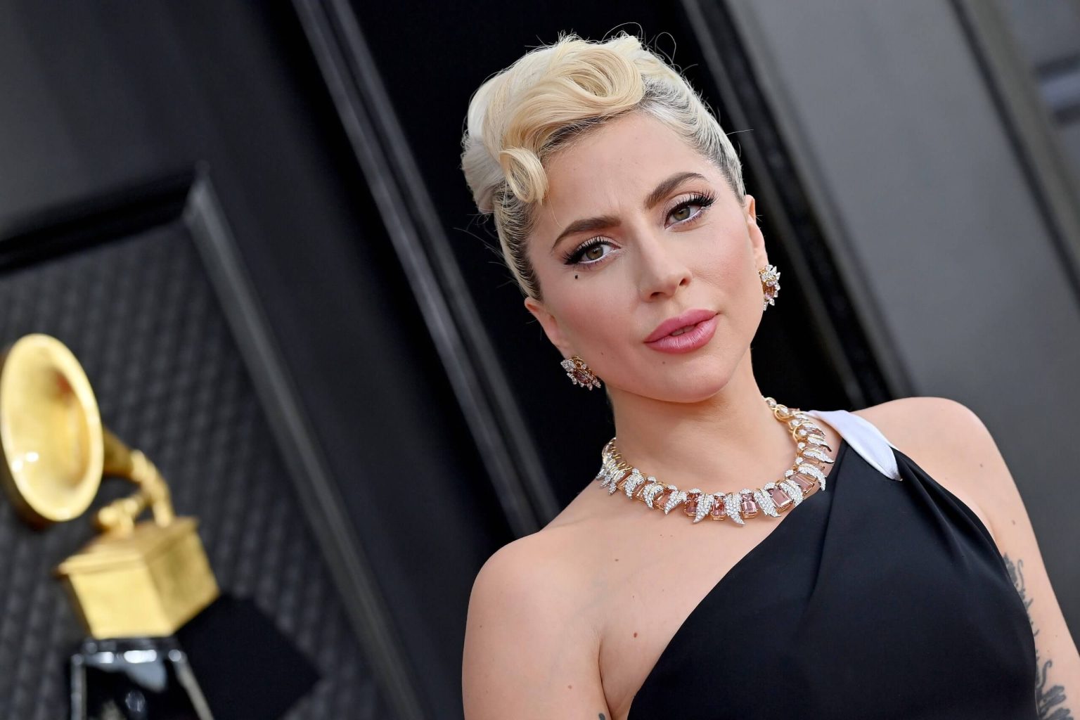 10 Interesting Facts About Lady Gaga That You Probably Didn T Know