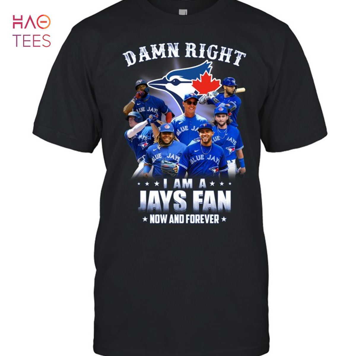 Damn Right I Am A Jays Fan Now And Forever Toronto Blue Jays Hot 2023 T-Shirt