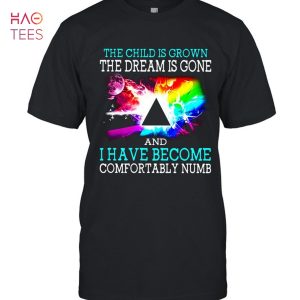 Pink Floyd The Child Is Grown The Dream Is Gone And I Have Become Comfortably Numb T-Shirt