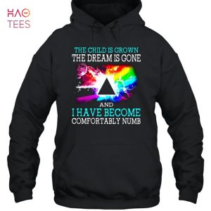 Pink Floyd The Child Is Grown The Dream Is Gone And I Have Become Comfortably Numb T-Shirt