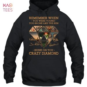 PinkFloyd Remember When You Were Young You Shone Like The Sun Shine On You Crazy Diamond T-Shirt