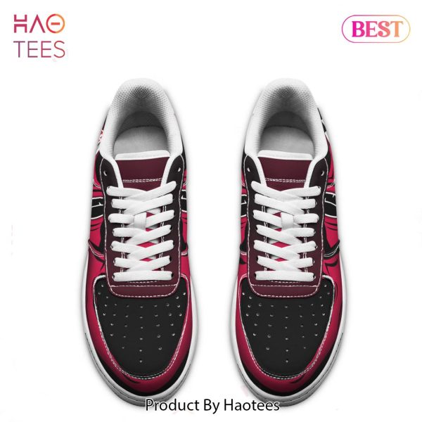 HOT Atlanta Falcons shoes Custom Air Force Sneakers for fans