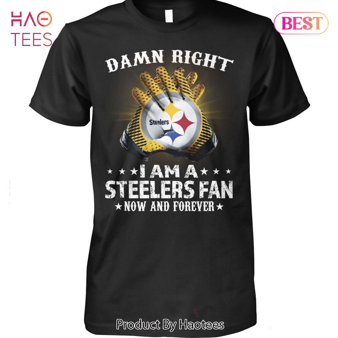 Damn right I am a Pittsburgh Steelers Fan now and forever black tshirt