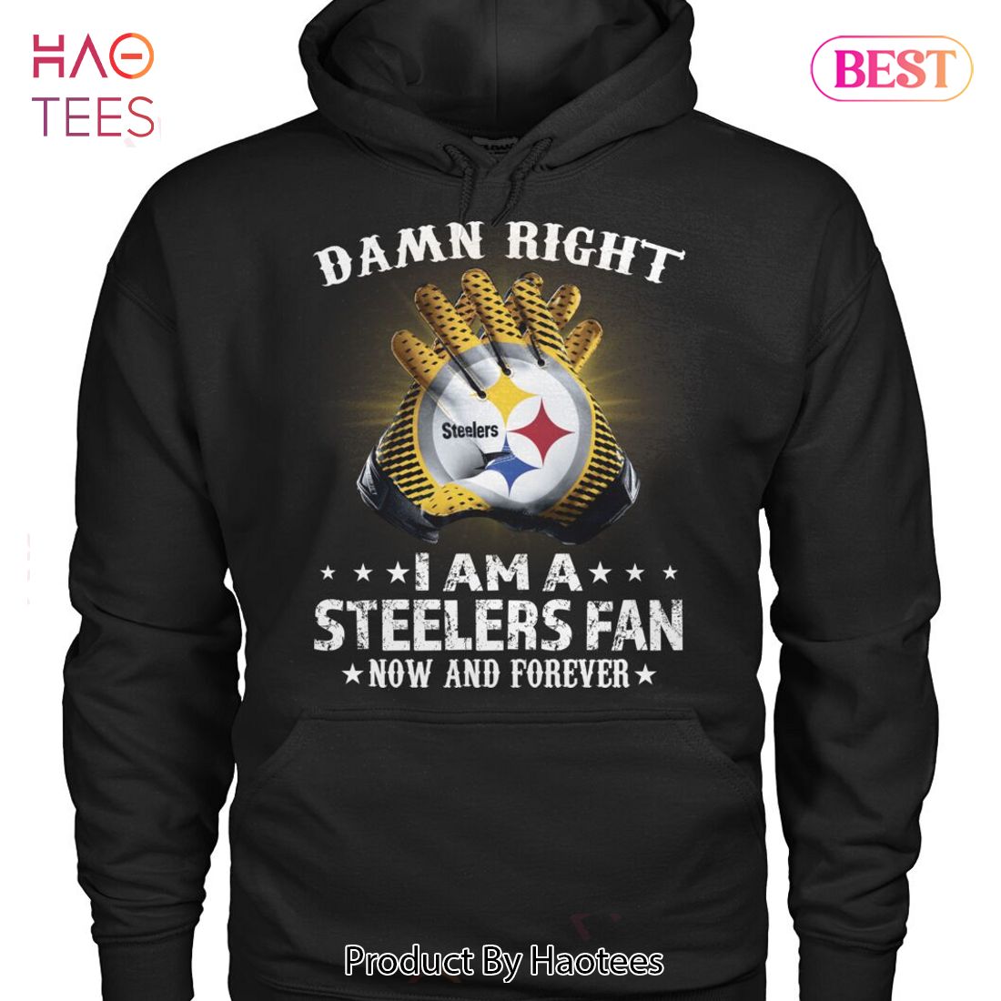 Pittsburgh Steelers Damn Right I Am A Steelers Fan Now Forever T-Shirt 