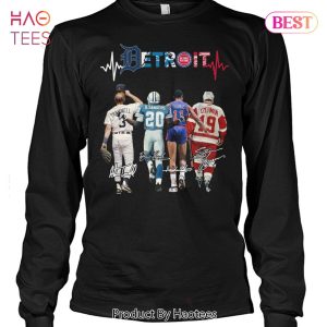 NEW Detroit Red Wings Detroit Pistons Detroit Tigers Detroit Lions Unisex T-Shirt
