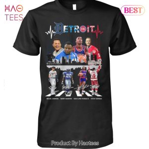 NEW Detroit Tigers Detroit Pistons Detroit Lions Detroit Red Wings Unisex T-Shirt