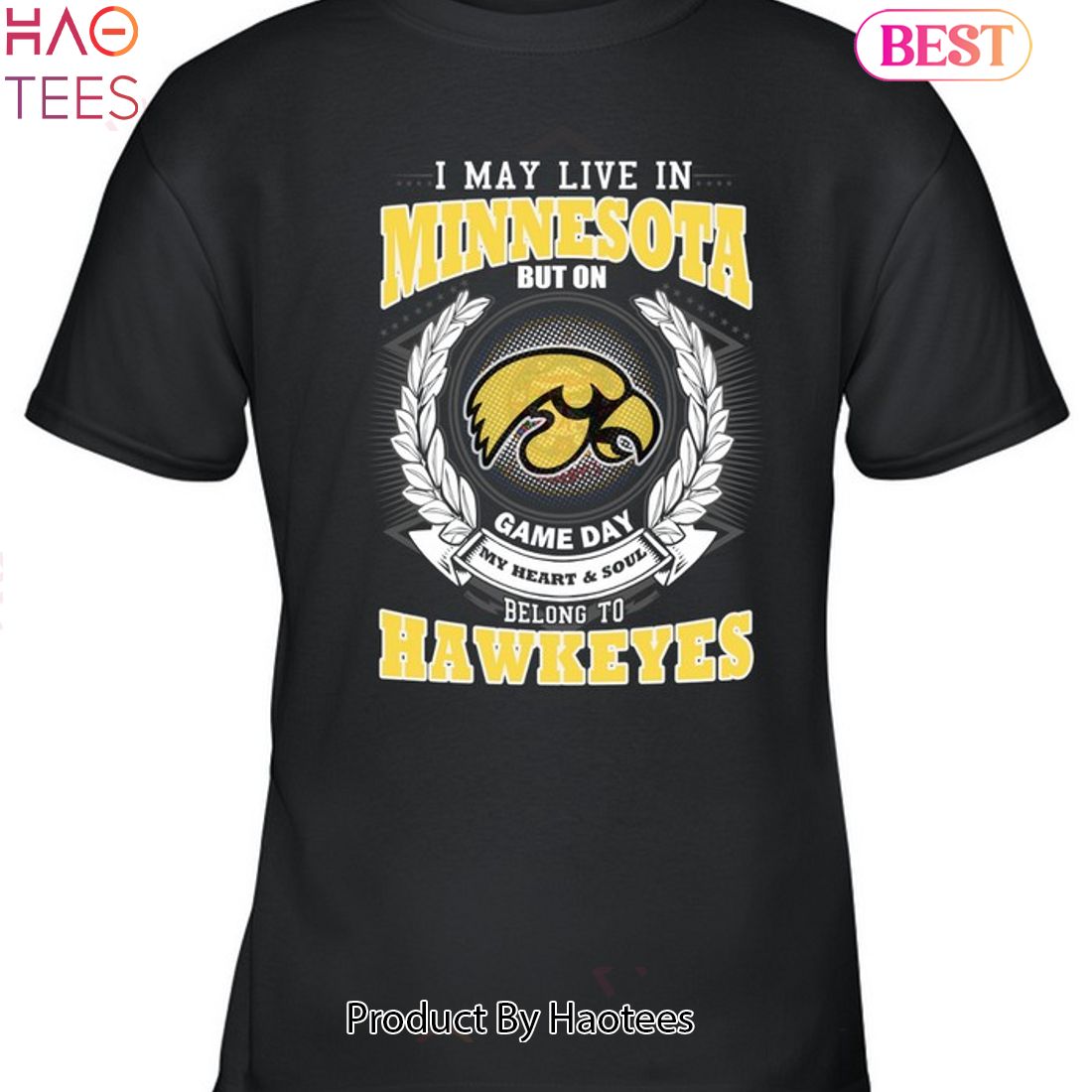 I may live in Iowa but on belong to Steelers shirt, hoodie