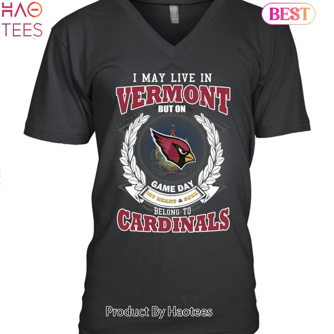 I May Live In Vermont But On Game Day My Heart & Soul Belongs To Arizona Cardinals Unisex T-Shirt I May Live In Vermont But On Game Day My Heart & Soul Belongs To Arizona Cardinals Unisex T-Shirt