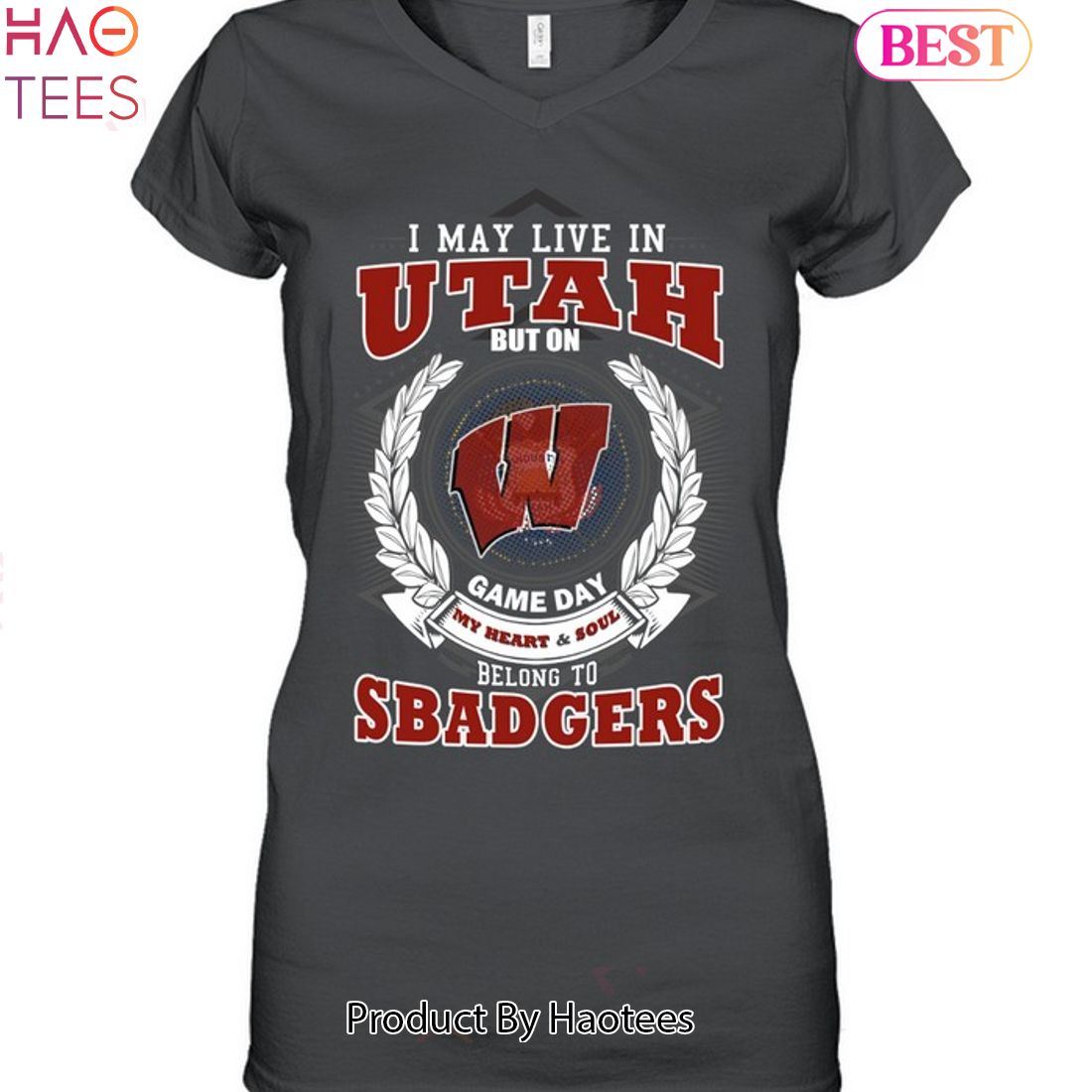 NEW I May Live In Utah But On Game Day My Heart & Soul Belongs To Wisconsin Badgers Unisex T-Shirt NEW I May Live In Utah But On Game Day My Heart & Soul Belongs To Wisconsin Badgers Unisex T-Shirt