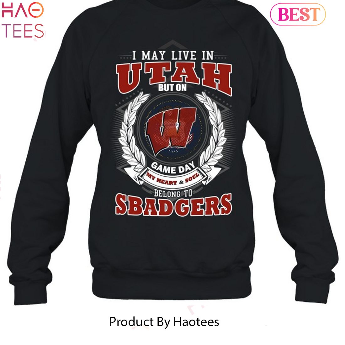 NEW I May Live In Utah But On Game Day My Heart & Soul Belongs To Wisconsin Badgers Unisex T-Shirt NEW I May Live In Utah But On Game Day My Heart & Soul Belongs To Wisconsin Badgers Unisex T-Shirt
