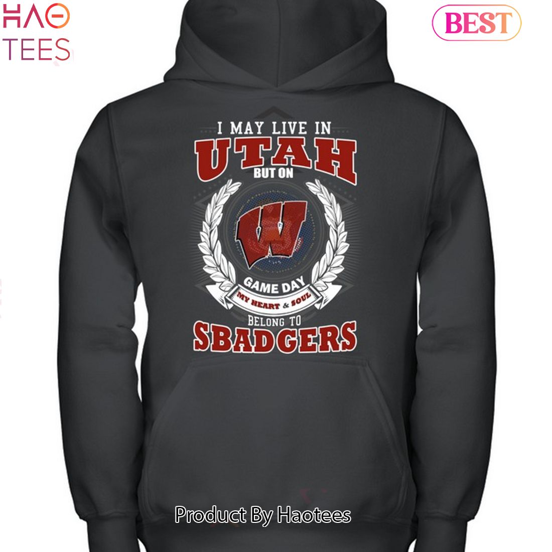 NEW I May Live In Utah But On Game Day My Heart & Soul Belongs To Wisconsin Badgers Unisex T-Shirt NEW I May Live In Utah But On Game Day My Heart & Soul Belongs To Wisconsin Badgers Unisex T-Shirt
